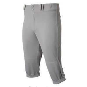 Champro Baseball pants